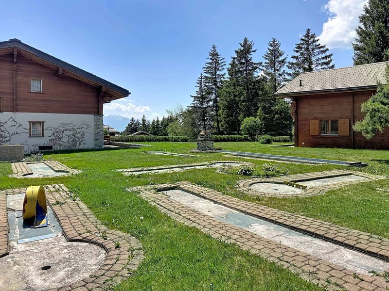 Domaine avec 2 chalets individuels reliés par les sous-sols (4)