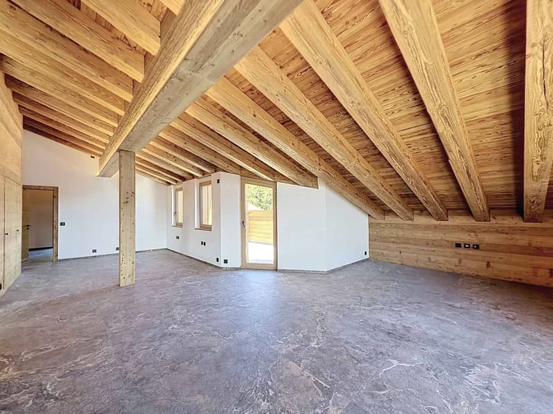 RARE - SPLENDIDE ATTIQUE AVEC VUE PANORAMIQUE - NEUF (5)