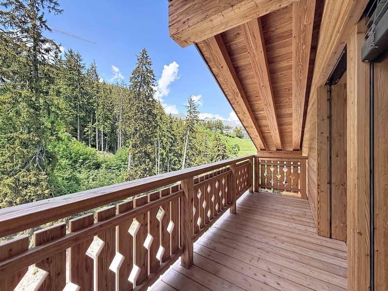 RARE - SPLENDIDE ATTIQUE AVEC VUE PANORAMIQUE - NEUF (11)