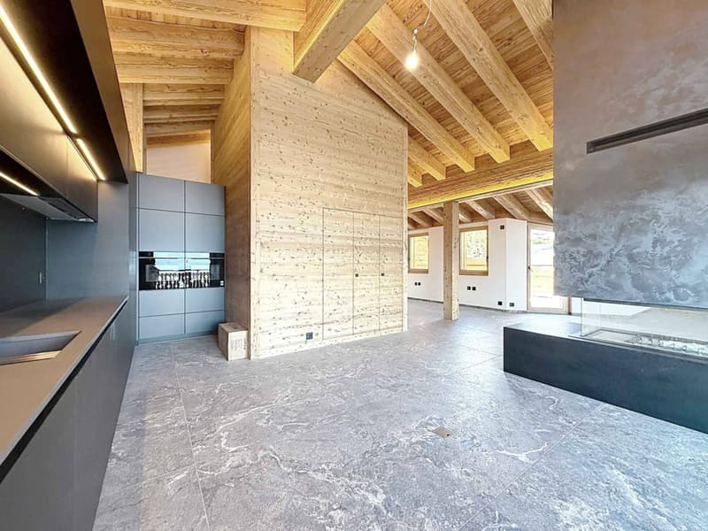 RARE - SPLENDIDE ATTIQUE AVEC VUE PANORAMIQUE - NEUF (3)