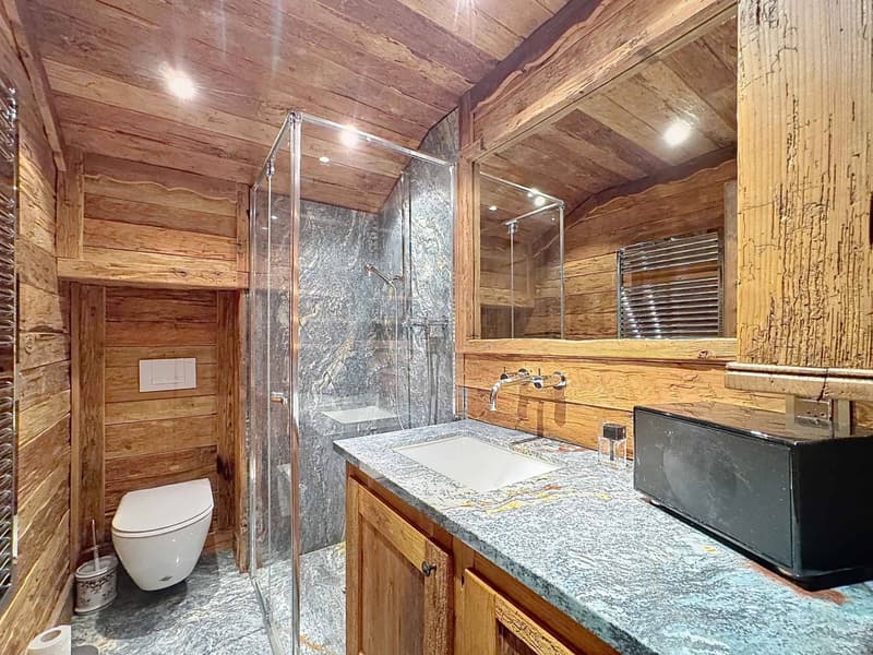 Splendide chalet avec mayen sur une magnifique parcelle (8)