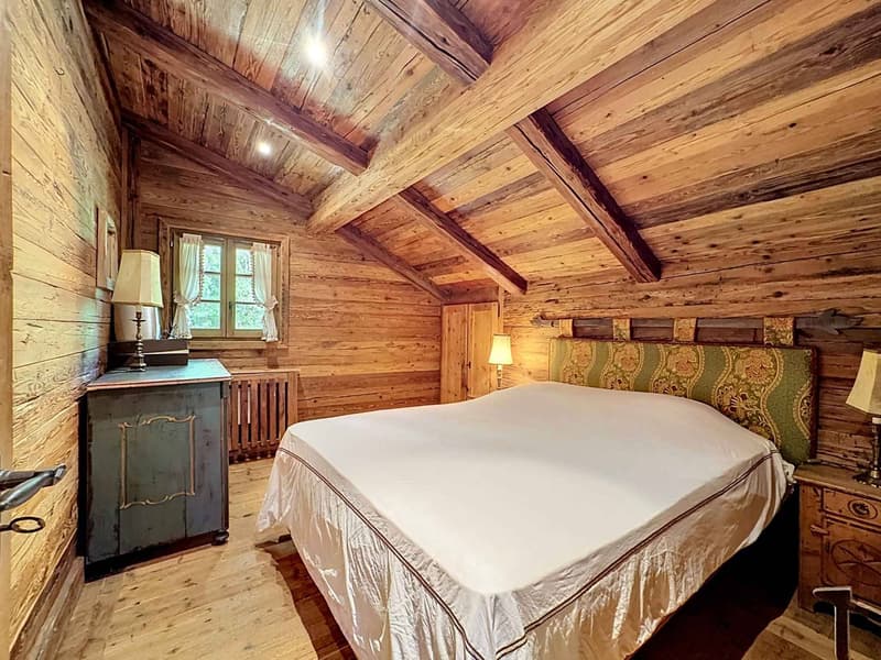 Splendide chalet avec mayen sur une magnifique parcelle (7)