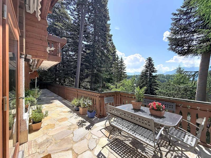 Magnifique chalet avec piscine et spa, à l'abri des regards (5)