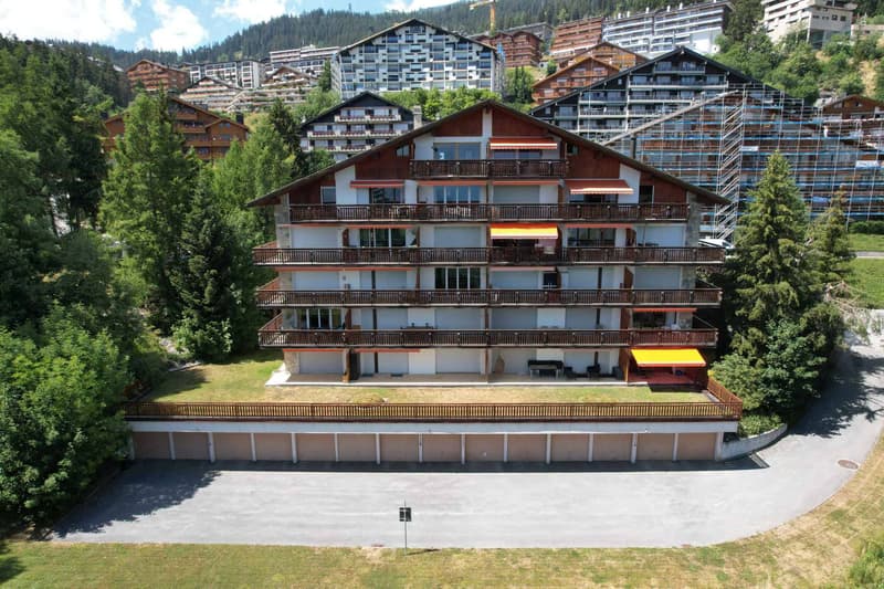 Charmant 3.5 pièces refait à neuf avec vue montagne (1)