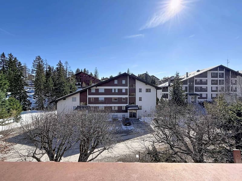 Charmant 4.5 pièces au calme absolu, à deux pas du centre (11)