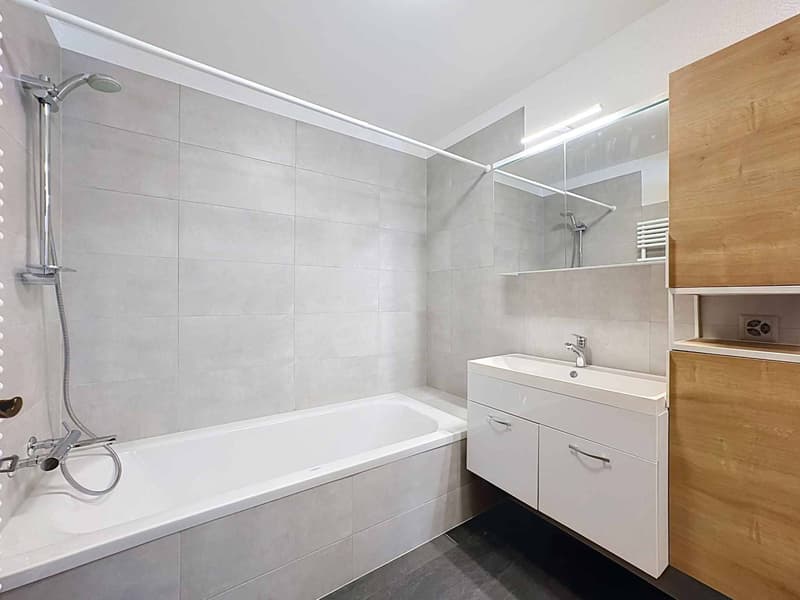 CHALET DE 15,5 PIÈCES COMPOSÉ DE TROIS APPARTEMENTS INDÉPENDANTS (12)