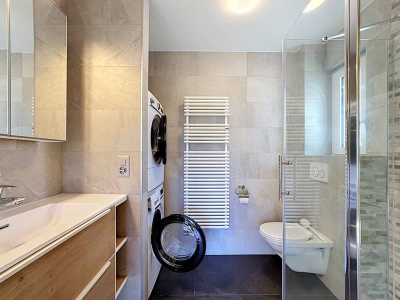 CHALET DE 15,5 PIÈCES COMPOSÉ DE TROIS APPARTEMENTS INDÉPENDANTS (10)