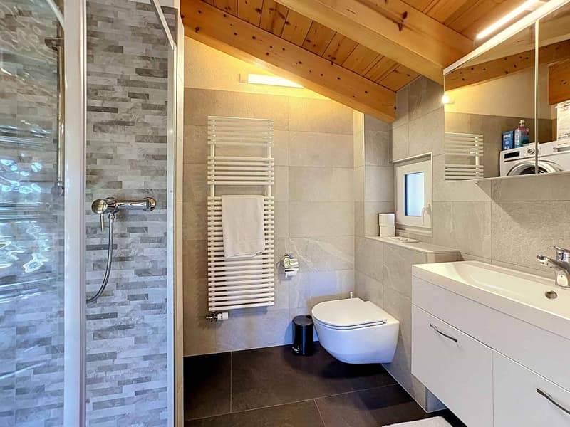 CHALET DE 15,5 PIÈCES COMPOSÉ DE TROIS APPARTEMENTS INDÉPENDANTS (6)