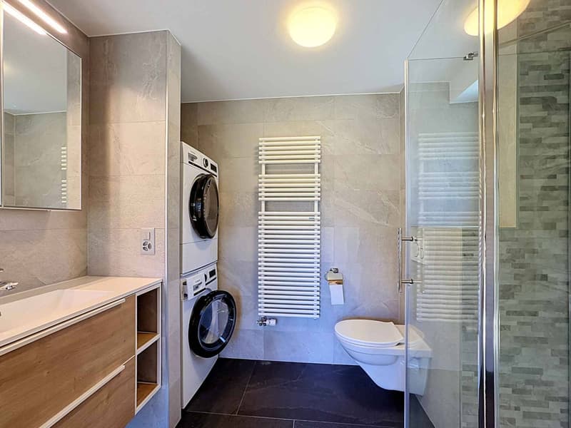 CHALET DE 15,5 PIÈCES COMPOSÉ DE TROIS APPARTEMENTS INDÉPENDANTS (12)