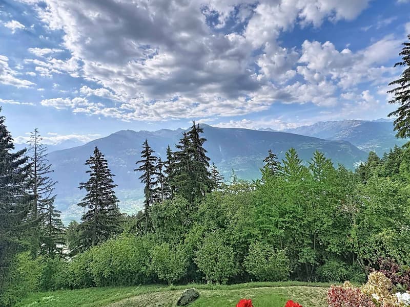 Très beau 4.5 pièces en duplex/attique avec très belle vue sur les Alpes (2)