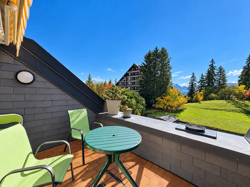 Très bel appartement de 4.5 pièces en plein centre avec magnifique rooftop (1)