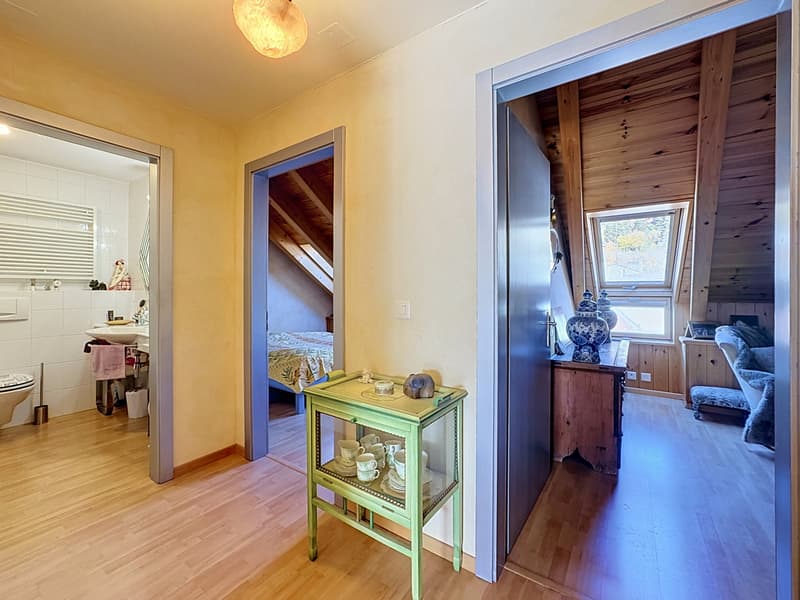 Très bel appartement de 4.5 pièces en plein centre avec magnifique rooftop (11)