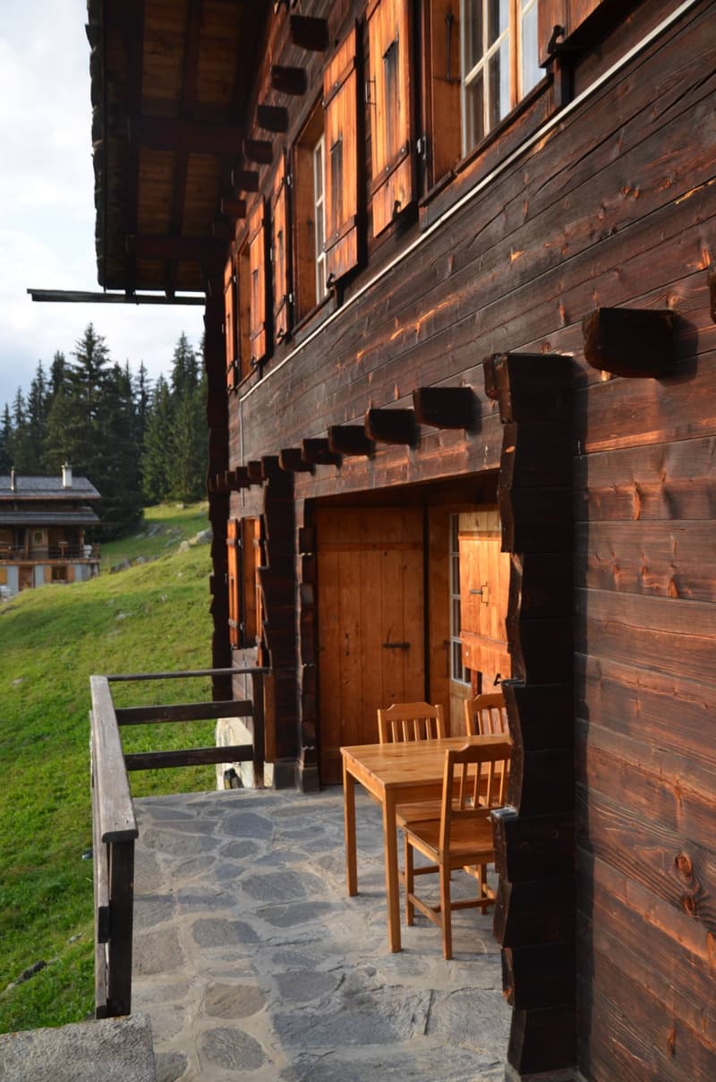 CHALET EXCEPTIONNEL SKI IN & OUT (4)