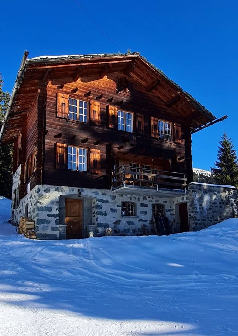 CHALET EXCEPTIONNEL SKI IN & OUT (3)