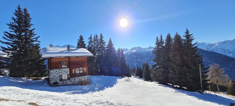 CHALET EXCEPTIONNEL SKI IN & OUT (12)