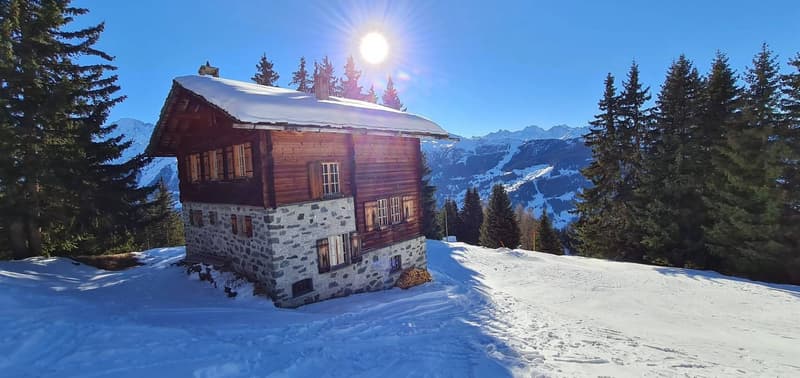 CHALET EXCEPTIONNEL SKI IN & OUT (10)