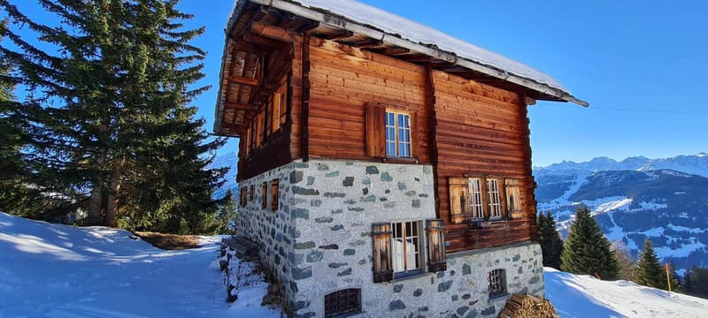 CHALET EXCEPTIONNEL SKI IN & OUT (11)