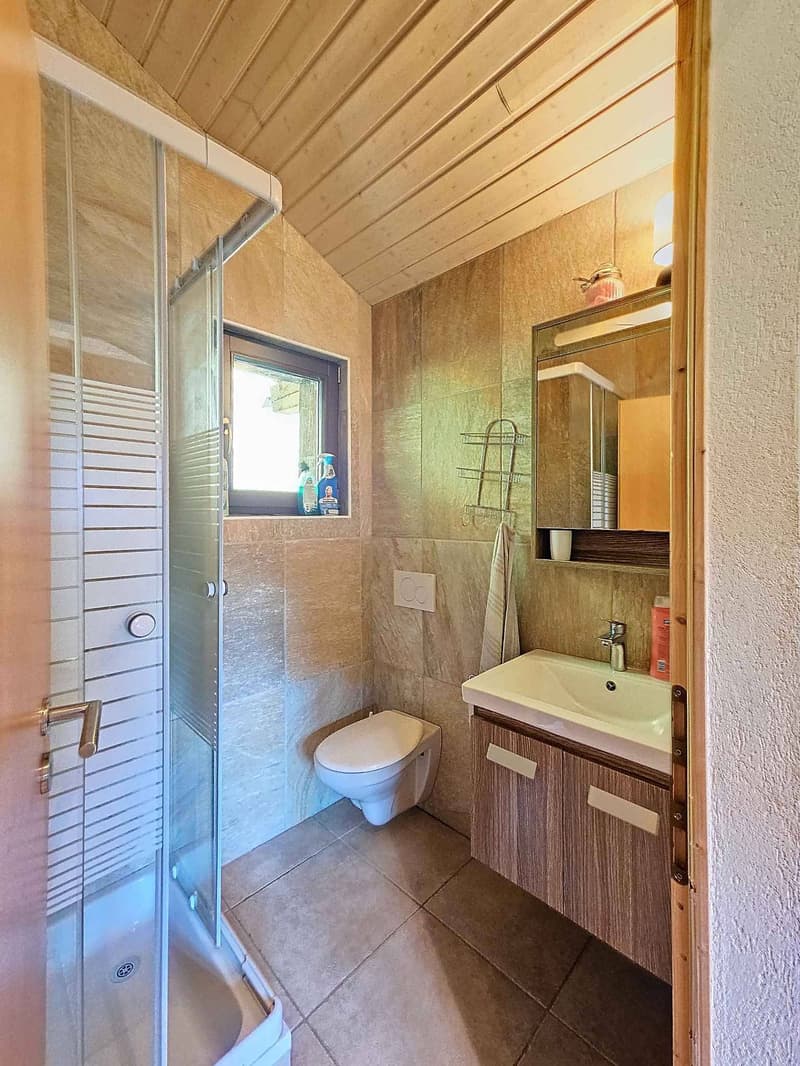 JOLI MAYEN BRUSON - 2 CHAMBRES - 60 M2 (9)