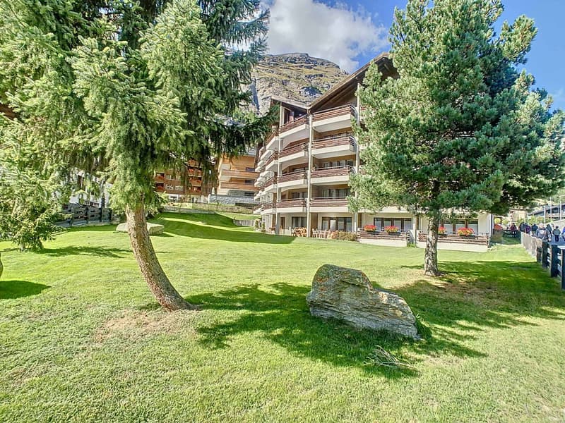 Fantastique appartement de 3,5 pièces avec vue Cervin (12)