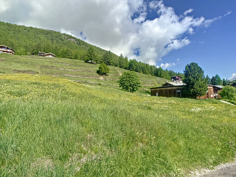 Terrain à bâtir parfaitement situé (8)