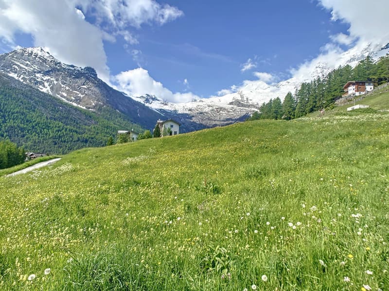Terrain à bâtir parfaitement situé (6)