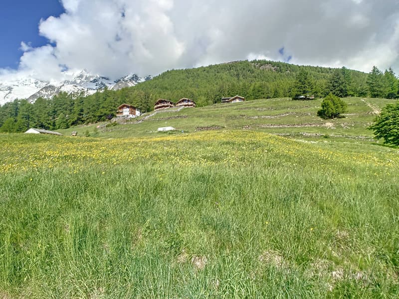 Terrain à bâtir parfaitement situé (3)