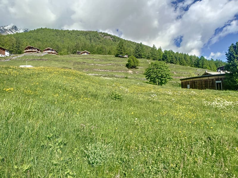 Terrain à bâtir parfaitement situé (4)