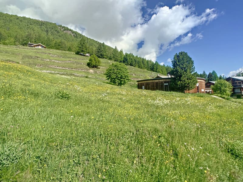 Terrain à bâtir parfaitement situé (5)