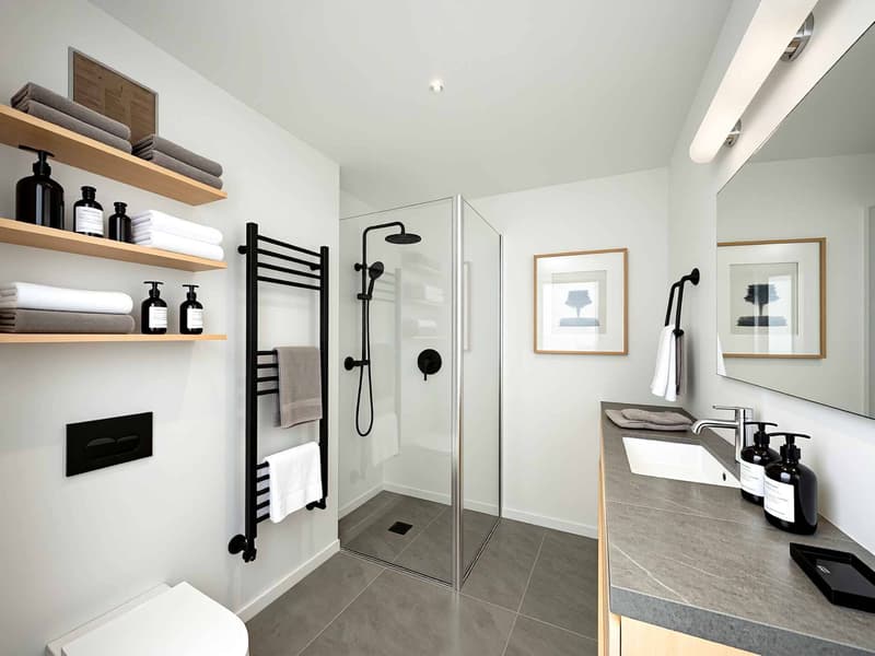 Élégant attique contemporain avec grande terrasse (5)