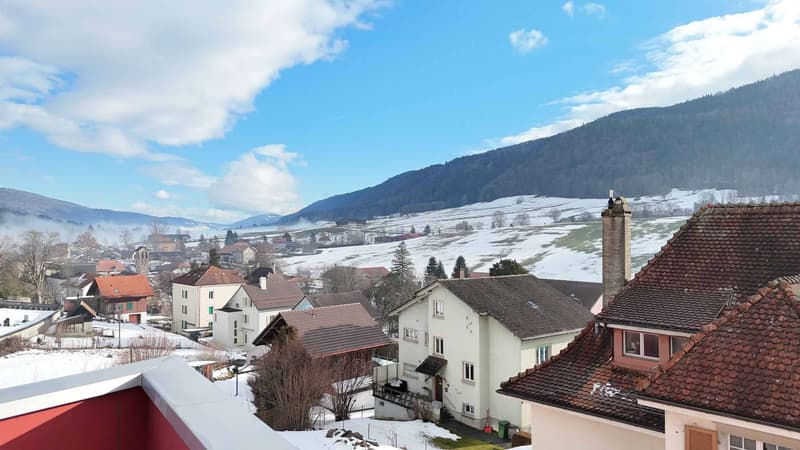 Élégant attique contemporain avec grande terrasse (8)