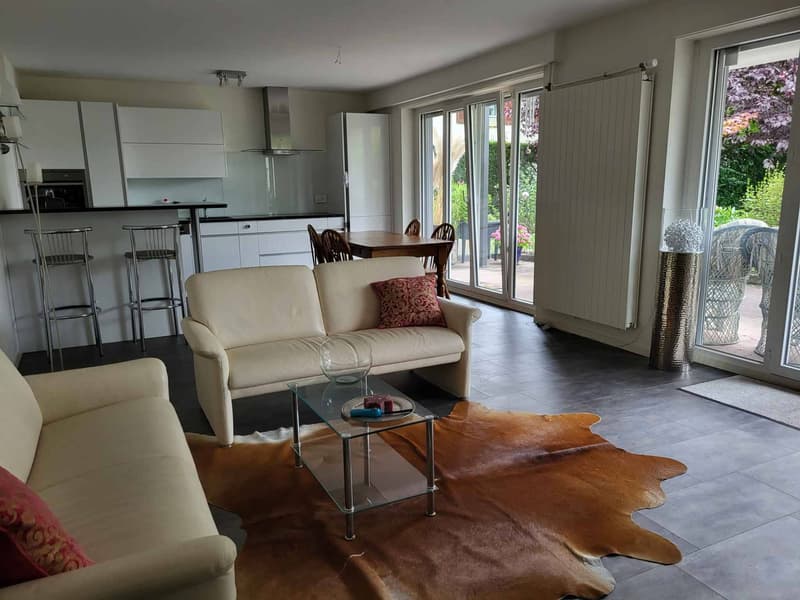 Charmante propriété de 8,5 pièces avec terrasse et grand jardin (11)