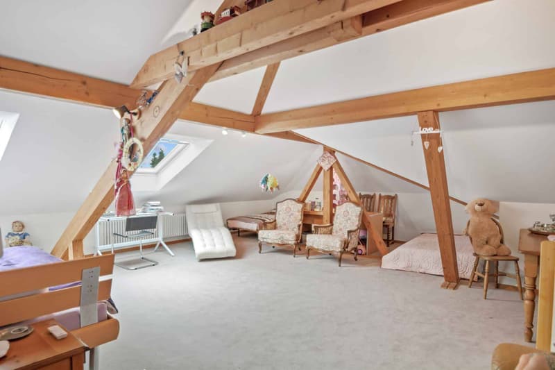 Charmante propriété de 8,5 pièces avec terrasse et grand jardin (10)