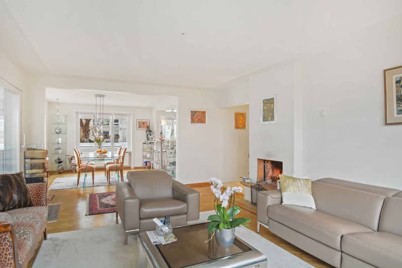Charmante propriété de 8,5 pièces avec terrasse et grand jardin (4)