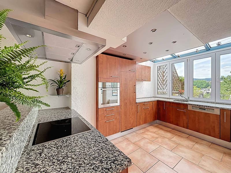 Triplex de 3.5 pièces avec terrasses et studio indépendant (5)