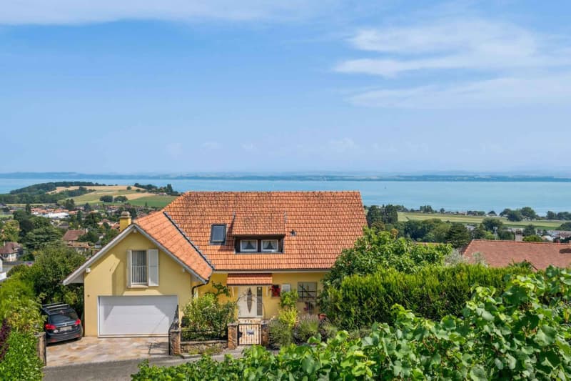 Villa familiale avec panorama unique sur le lac de Neuchâtel et les Alpes (12)