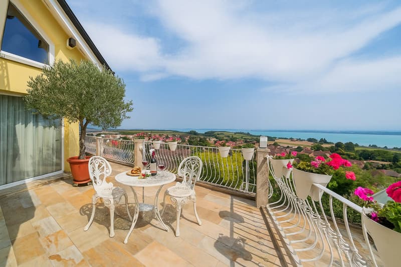 Villa familiale avec panorama unique sur le lac de Neuchâtel et les Alpes (10)