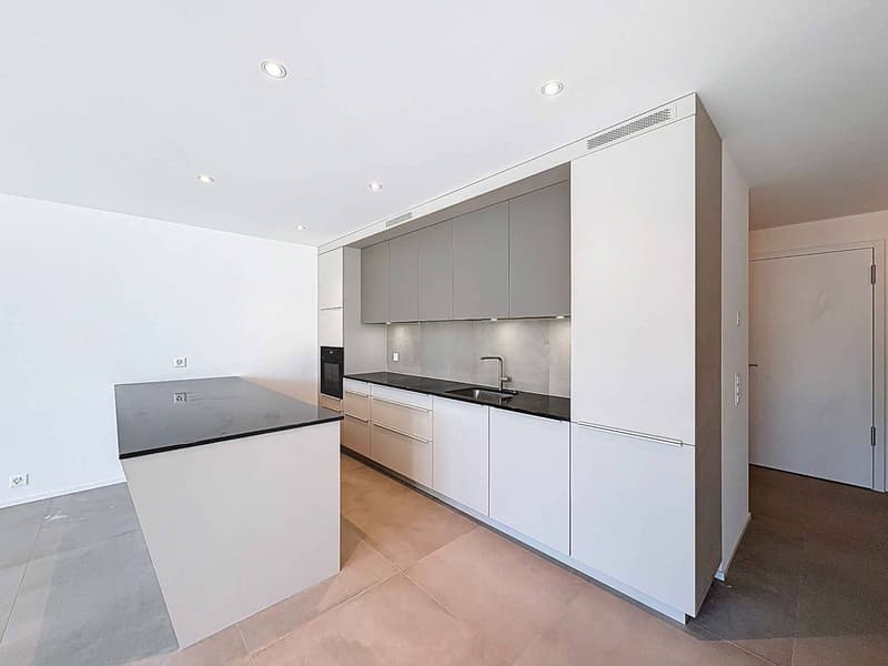 Duplex neuf au cur de Neuchâtel (2)