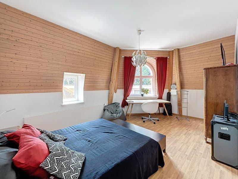 Duplex avec vue panoramique sur le lac et les Alpes (5)