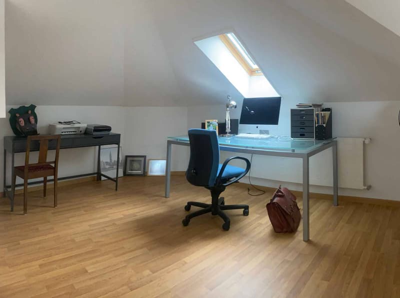 Duplex avec vue panoramique sur le lac et les Alpes (10)