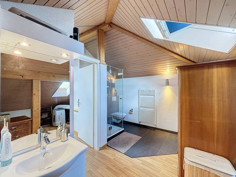 Duplex avec vue panoramique sur le lac et les Alpes (12)
