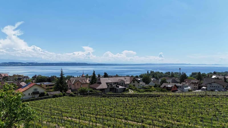 Villa de standing au cur des vignes avec vue lac imprenable (6)