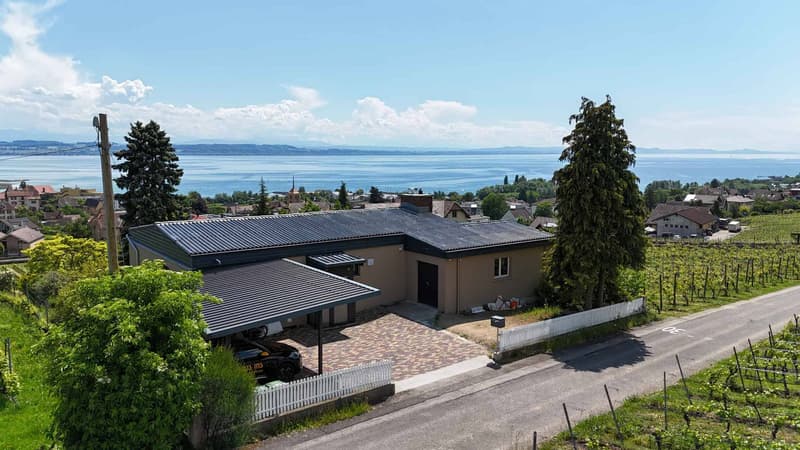 Villa de standing au cur des vignes avec vue lac imprenable (12)