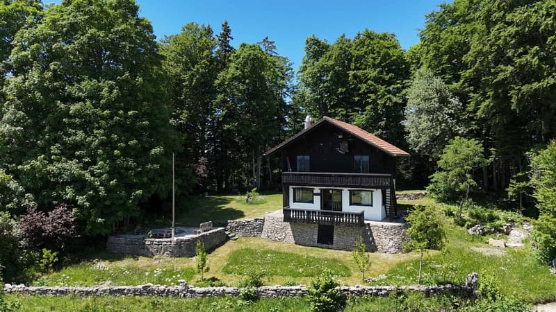 Une parenthèse hors du temps au cur du Parc naturel des Verrières (1)