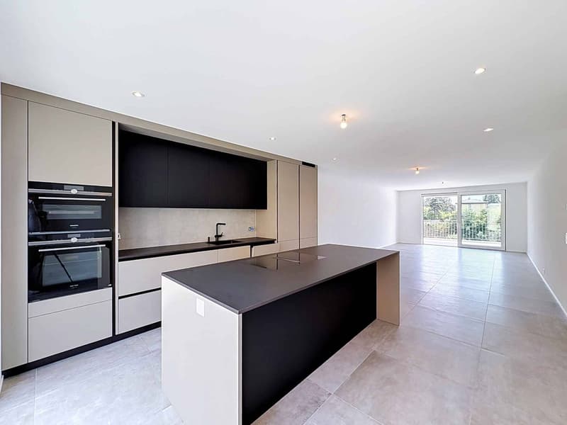 Élégance contemporaine et art de vivre dans un appartement neuf (1)