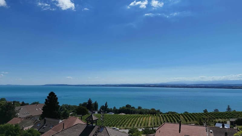 Un écrin contemporain face au lac, où luxe, lumière et sérénité ne font qu'un (12)