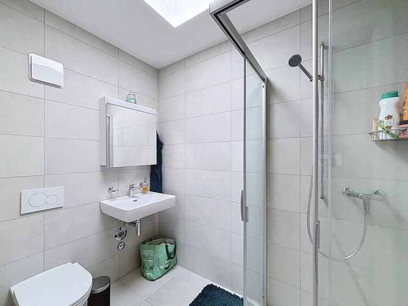 Appartement en attique de 4.5 pièces entre lumière et sérénité (8)