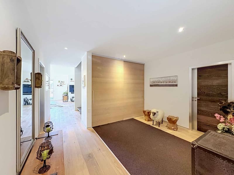Villa familiale avec espace professionnel indépendant dans un cadre verdoyant (5)