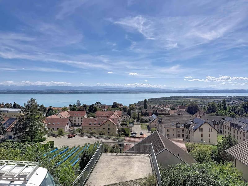 Appartement neuf de 3,5 pièces avec terrasse et vue panoramique (12)