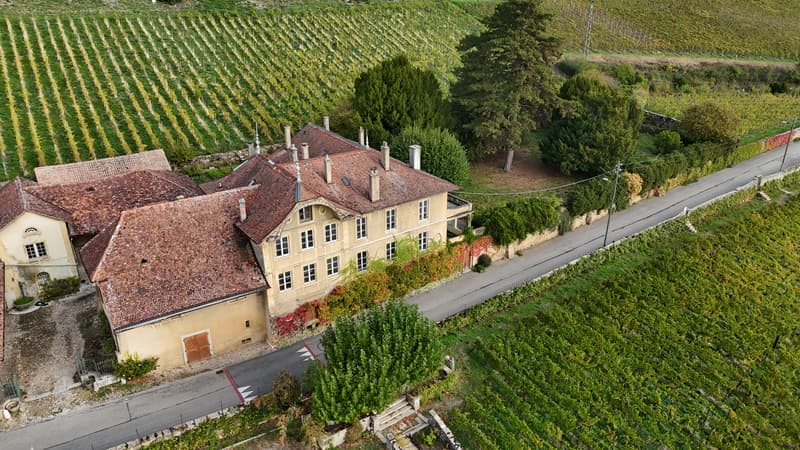 Domaine de Champréveyres: Opportunités multiples avec vue lac (3)