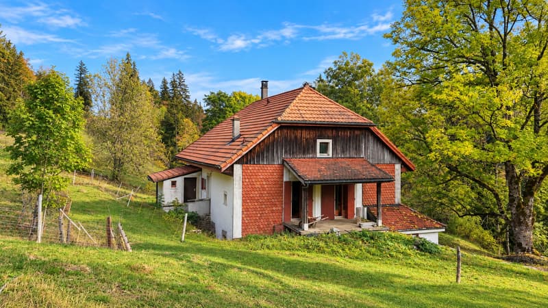 Maison aux multiples possibilités dans un cadre verdoyant (12)